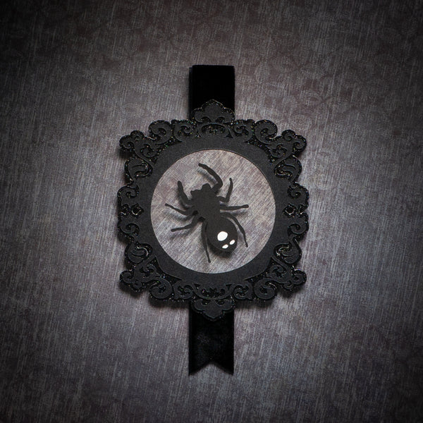 Jumping Spider Portrait