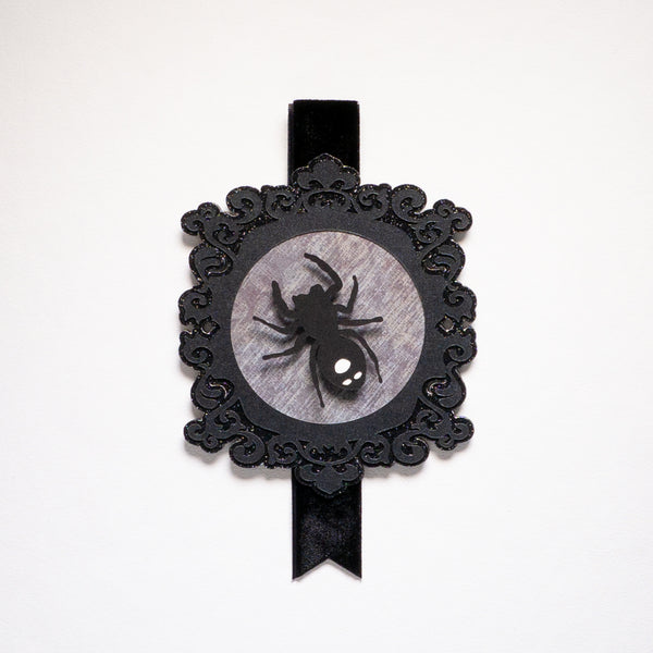 Jumping Spider Portrait