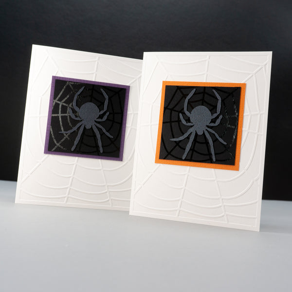 Spider In Its Web Notecards