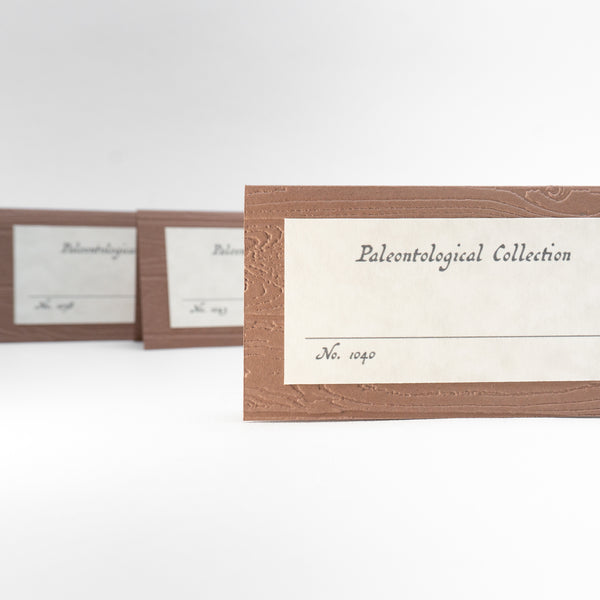 Old-timey Fossil Dig Place Cards / Buffet Labels