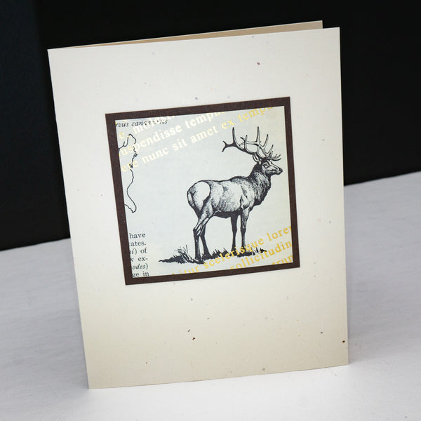 Note card of an elk drawing from a vintage nature book. The original aged print is overlain with angled metallic lorem ipsum text.