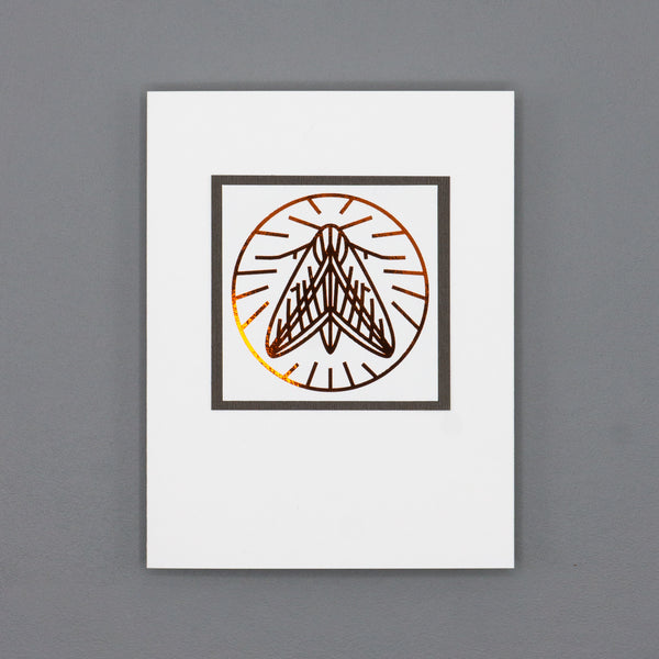 Metallic Sphinx Moth Line Drawing Notecards