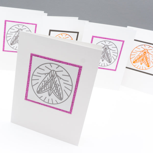 Metallic Sphinx Moth Line Drawing Notecards
