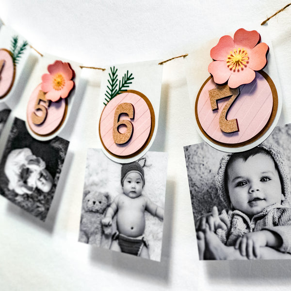 Wild Rose First Year Photo Banner