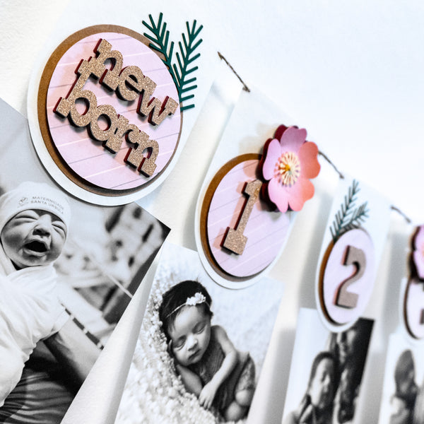 Wild Rose First Year Photo Banner
