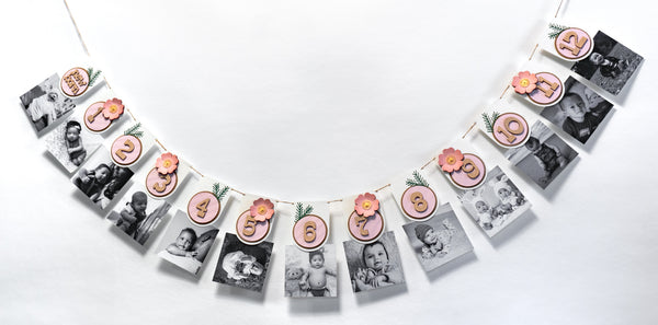Wild Rose First Year Photo Banner