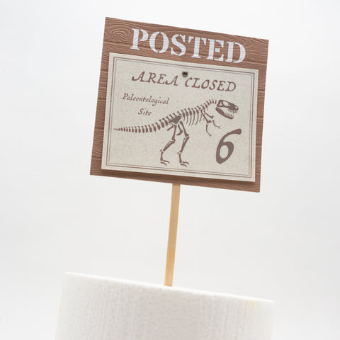 Old-timey Fossil Dig Cake Topper
