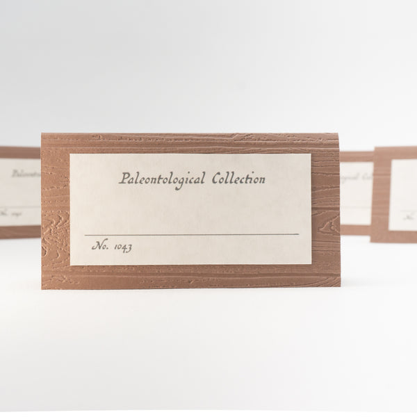 Old-timey Fossil Dig Place Cards / Buffet Labels