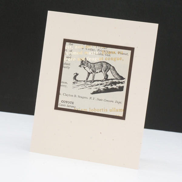 Note card of a drawing of a coyote from a vintage nature book. The original aged print is overlain with angled metallic lorem ipsum text.