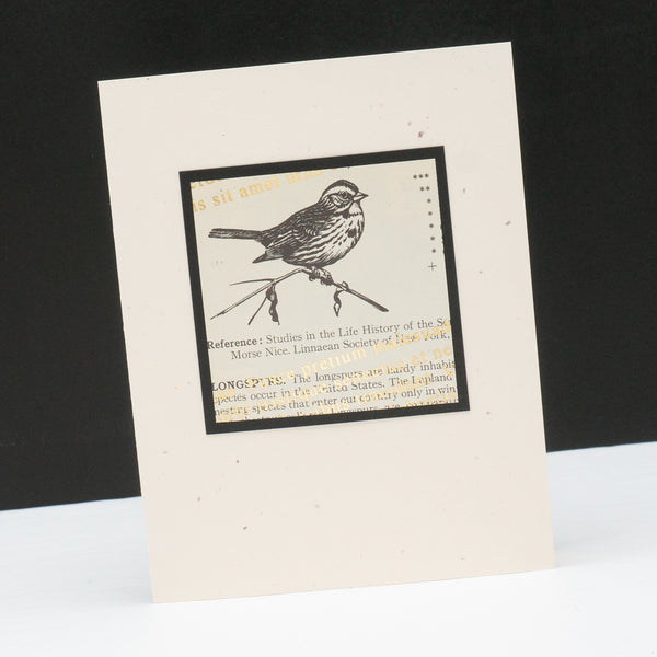 Note card of a drawing of sparrow bird from a vintage nature book. The original aged print is overlain with angled metallic lorem ipsum text.