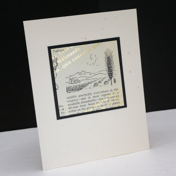 Note card of a drawing of wheat from a vintage nature book. The original aged print is overlain with angled metallic lorem ipsum text.