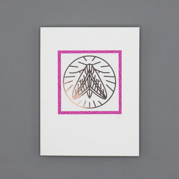 Metallic Sphinx Moth Line Drawing Notecards